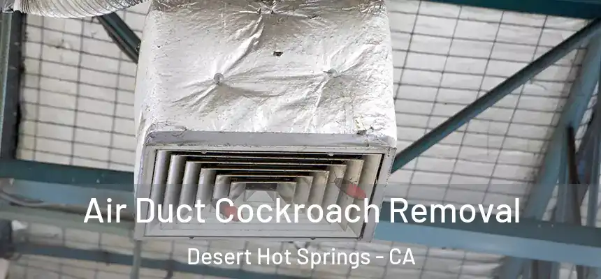  Air Duct Cockroach Removal Desert Hot Springs - CA