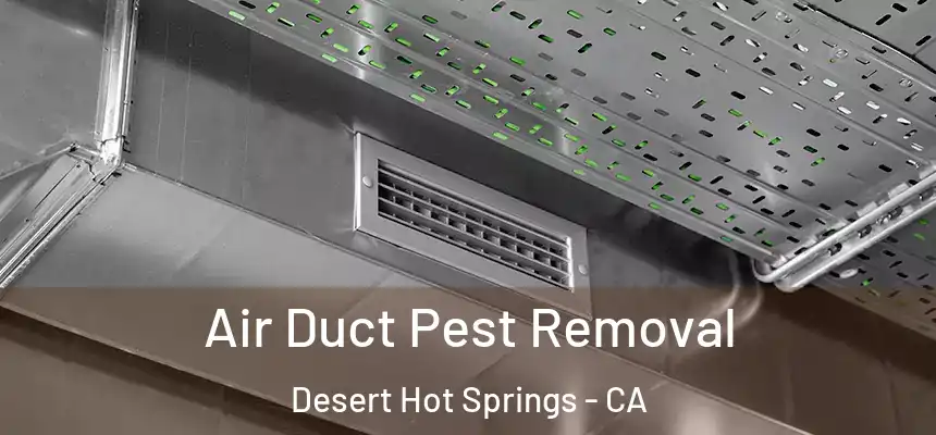 Air Duct Pest Removal Desert Hot Springs - CA
