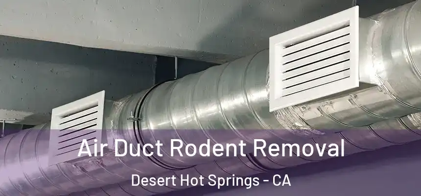 Air Duct Rodent Removal Desert Hot Springs - CA
