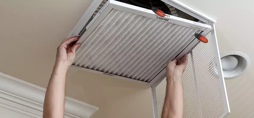 Preventive Cockroach-Proofing for Ducts in Desert Hot Springs