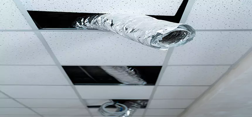 Our Air Duct Pet Hair Removal Services in Desert Hot Springs, CA