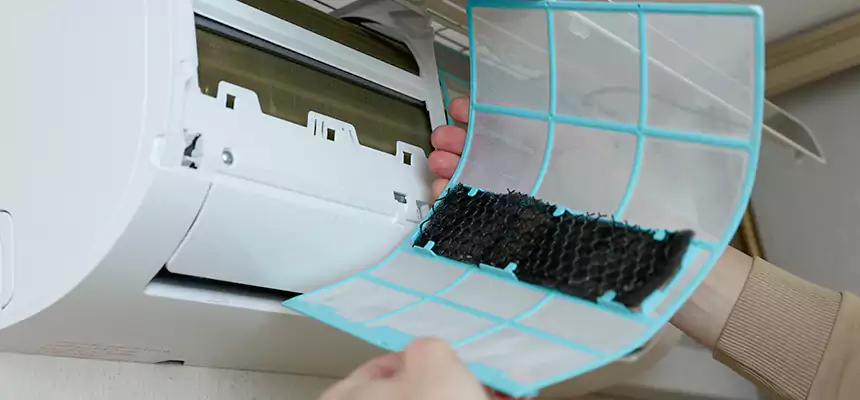 Gentle Ductwork Odor-Control Pet Dander Duct Cleaning in Desert Hot Springs, CA