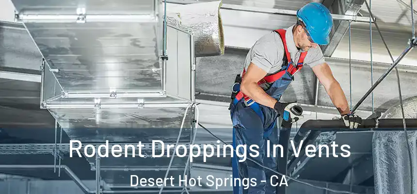 Rodent Droppings In Vents Desert Hot Springs - CA