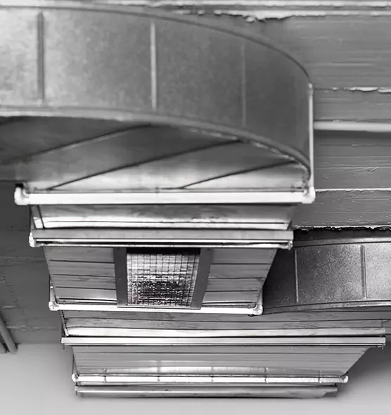 Professional Air Duct Pest Removal in Desert Hot Springs, CA