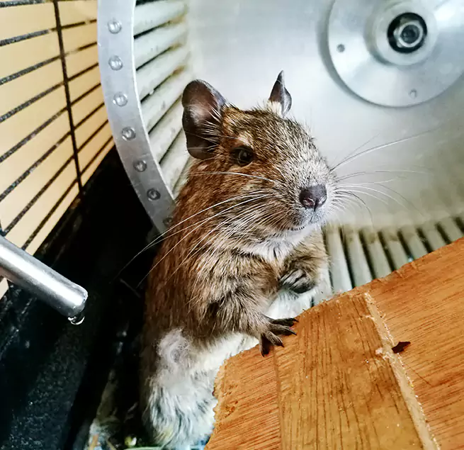 Why Homeowners & Businesses Trust Us Desert Hot Springs, CA