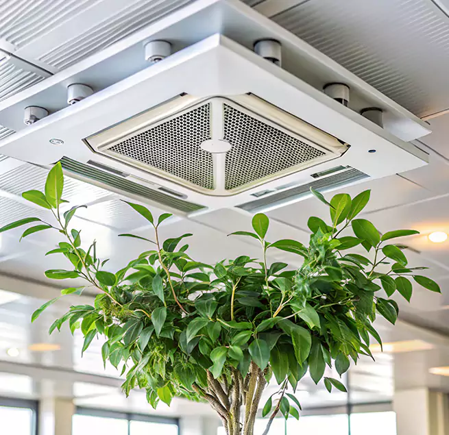 Why Homeowners & Businesses Trust Us in Desert Hot Springs, CA